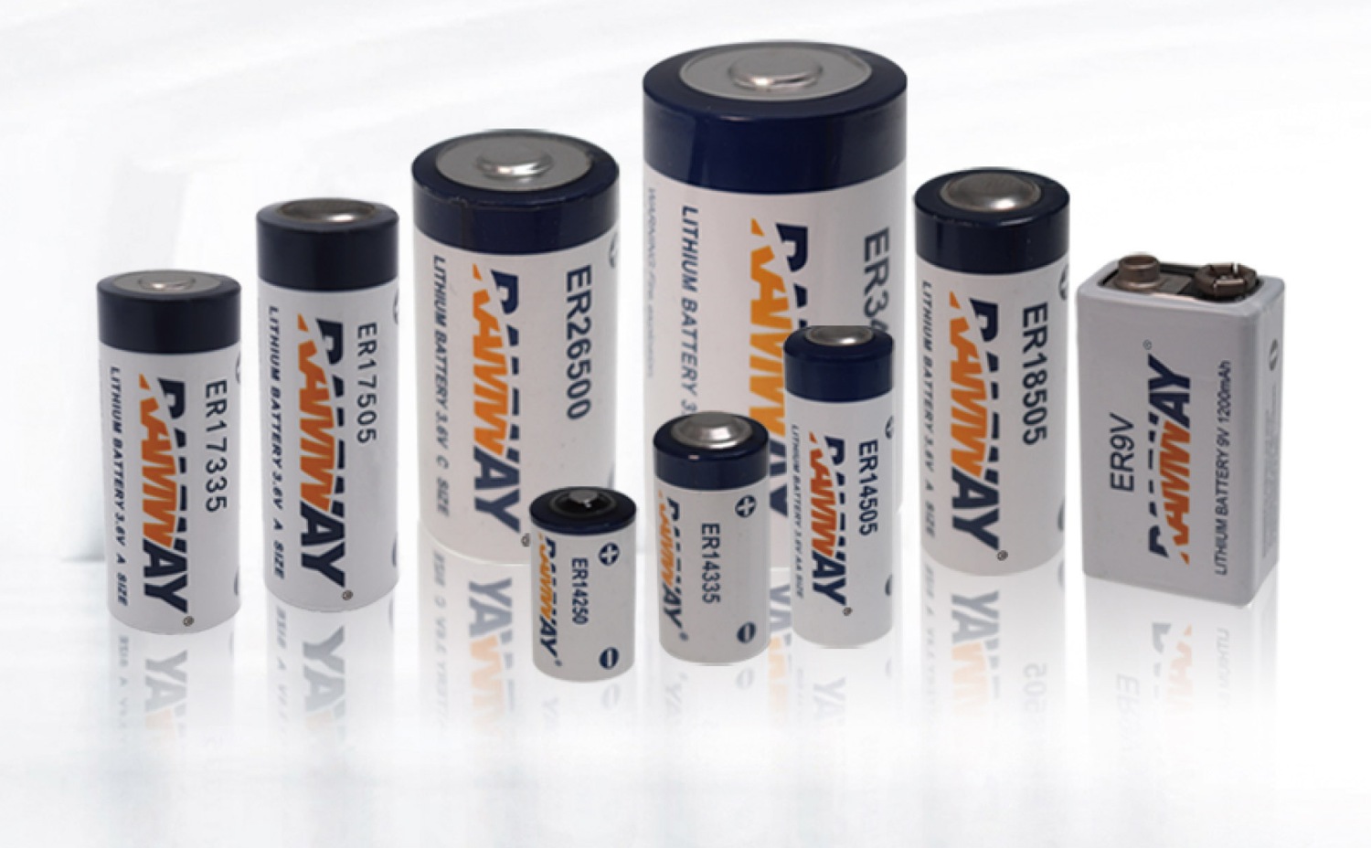 RAMWAY ER cylindrical primary lithium cell range from the supplier catalog
